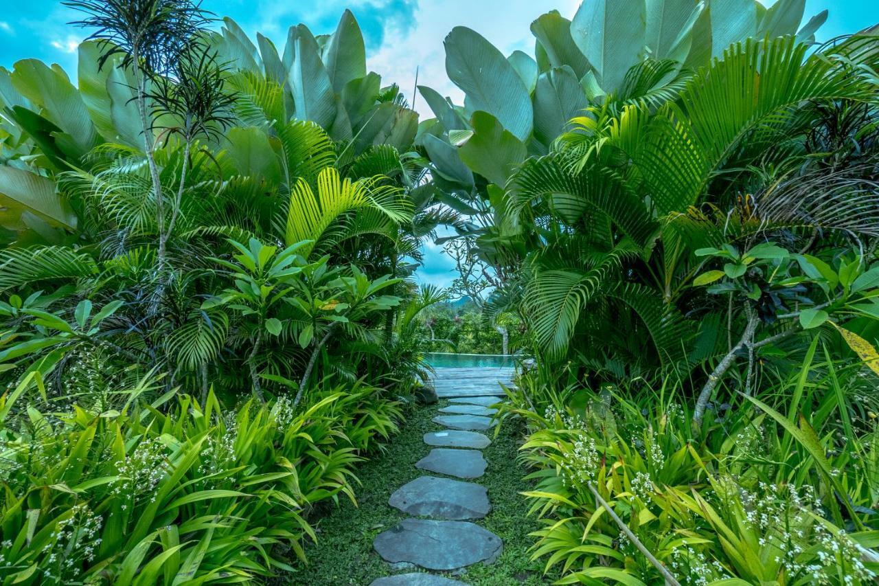 Malaya Villas Ubud Tegallalang  Exterior foto